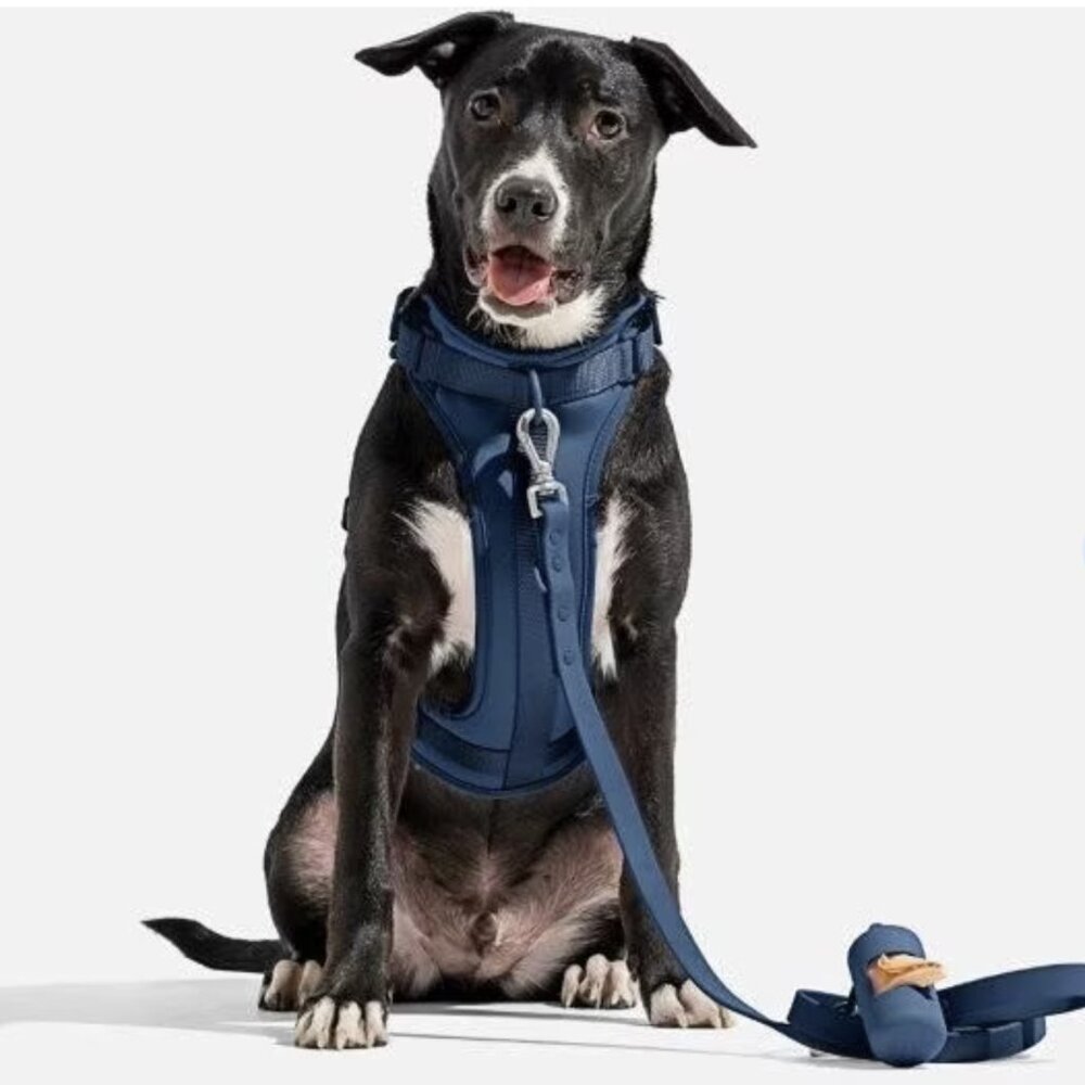 New NWT Wild One Adjustable Cushioned Dog Harness, Large, Blue